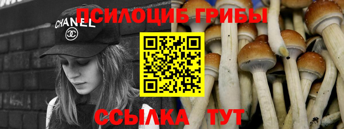 Галлюциногенные грибы прущие грибы  Галлюциногенные грибы мухоморы  Вход с VPN  Грязи 